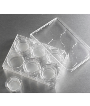 Transwell Permeable Supports, Polycarbonate, Corning