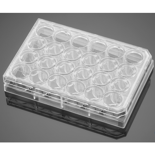 Corning® BioCoat™ Collagen I Inserts with 0.4 µm PET Membrane in two 24 Well Plates, 24/Pack, 24/Case