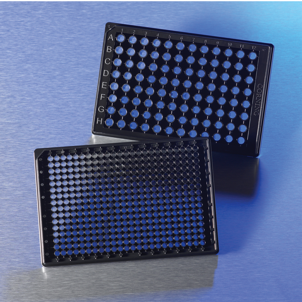 384 Well Glass Bottom Microplate, with lid, sterile, Corning – Appleton ...