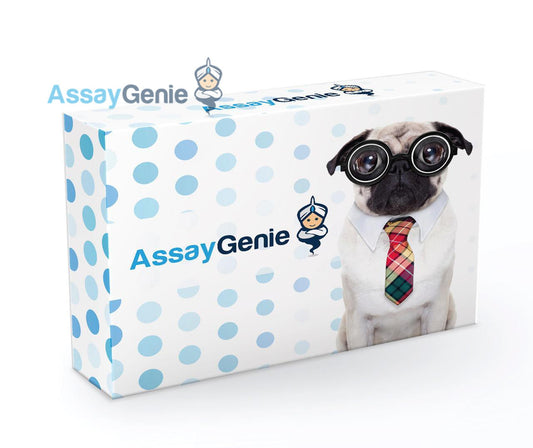 Human GH (Growth Hormone) QuickStep ELISA Kit