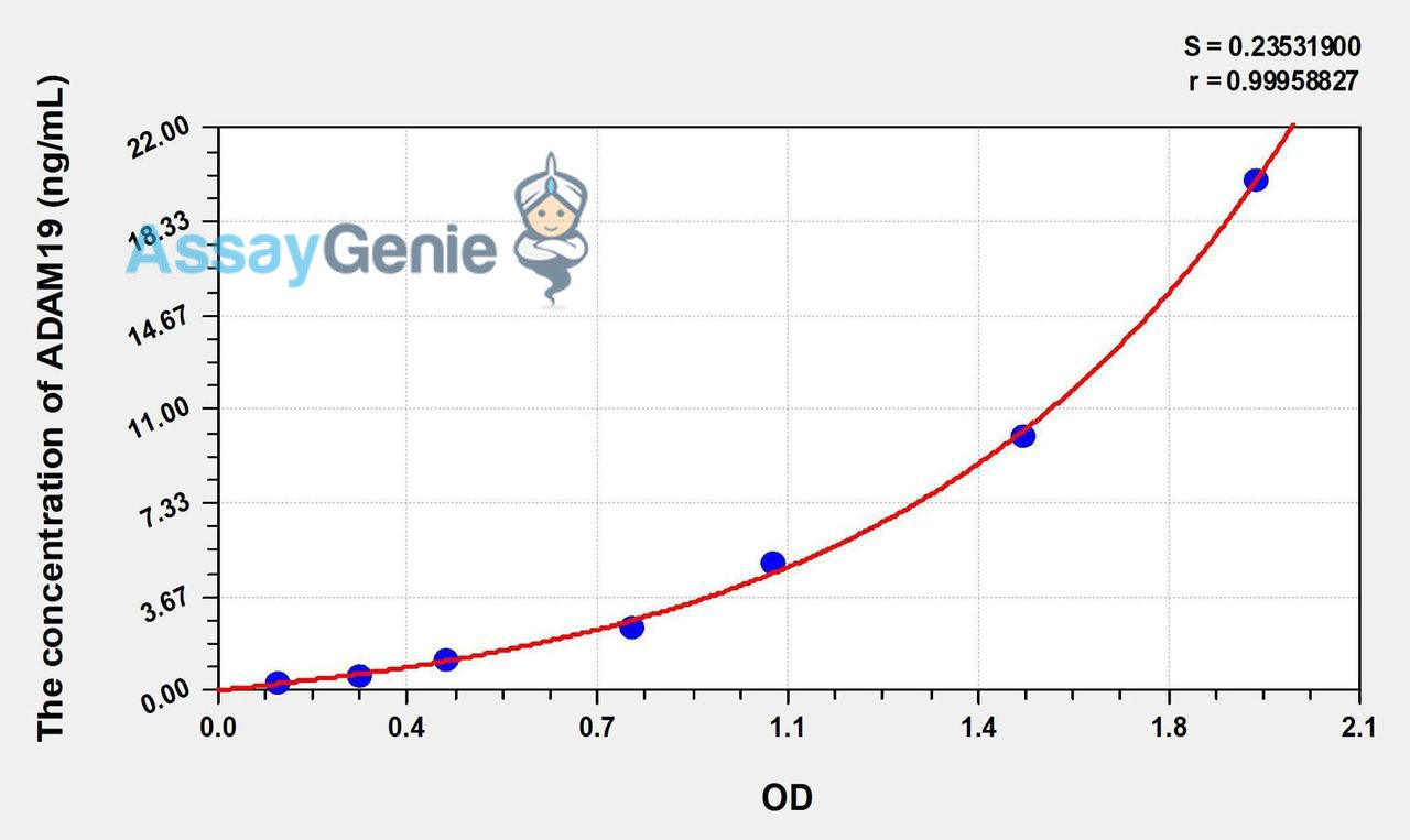 Human ADAM19 (A Disintegrin And Metalloprotease 19) ELISA Kit