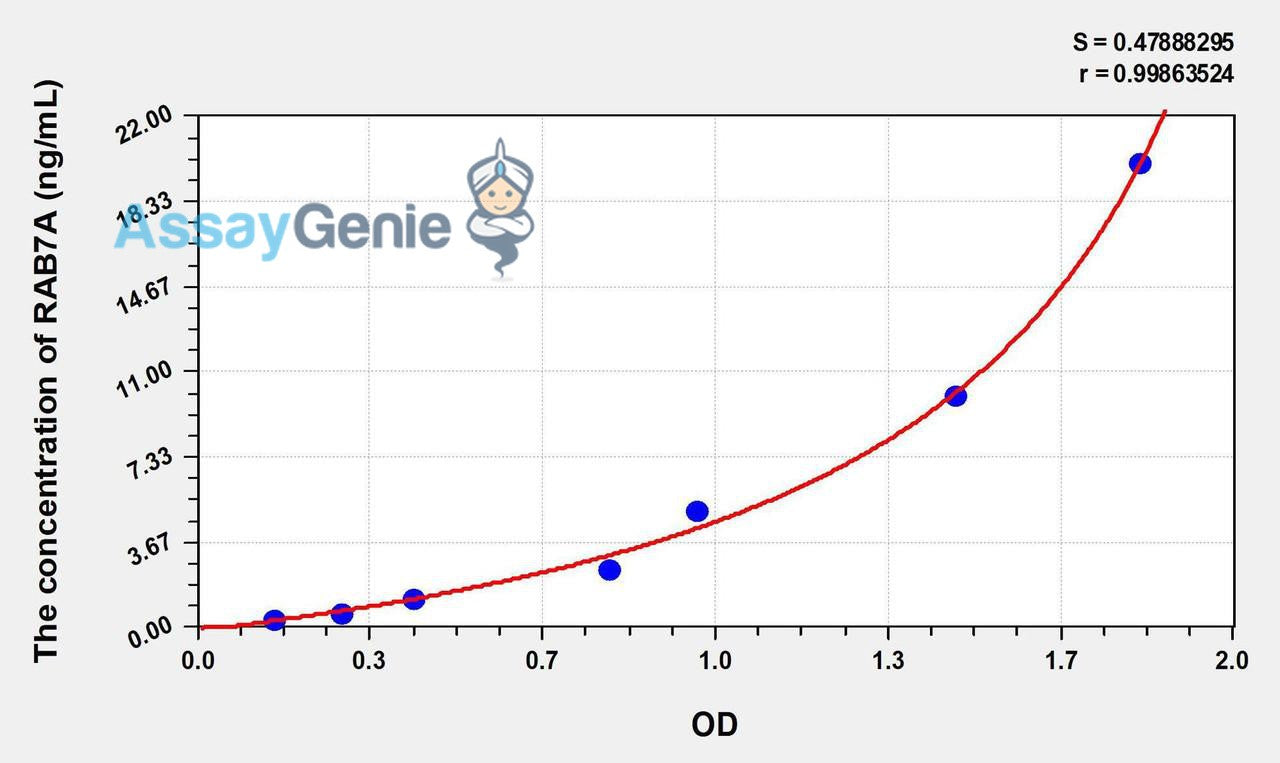 Human RAB7A (RAB7A, Member RAS Oncogene Family) ELISA Kit