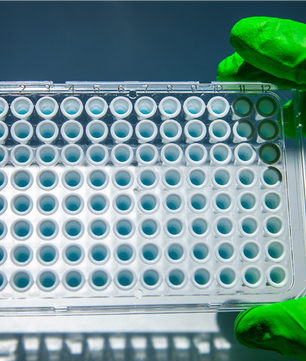 appGREEN Blue Separate ROX Mix