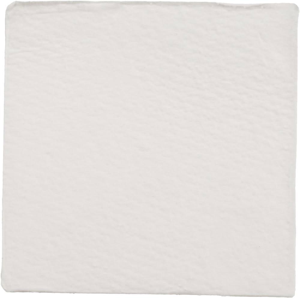 Fiberglass Prefilters, 43 mm Square, for 150ml Funnel, Non-Sterile, Co ...