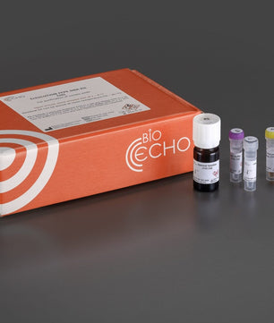 EchoLUTION FFPE DNA Kit, Bioecho