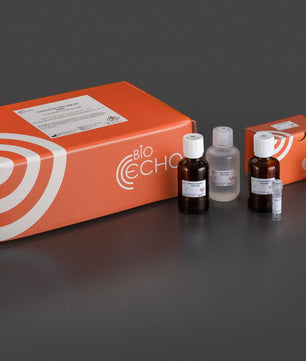 EchoLUTION FFPE DNA Kit, Bioecho