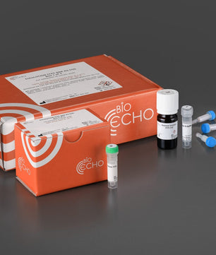 EchoLUTION FFPE RNA Kit, Bioecho