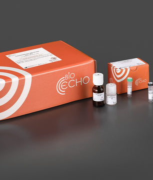 EchoLUTION FFPE RNA Kit, Bioecho