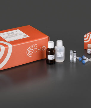 EchoLUTION FFPE RNA Kit, Bioecho