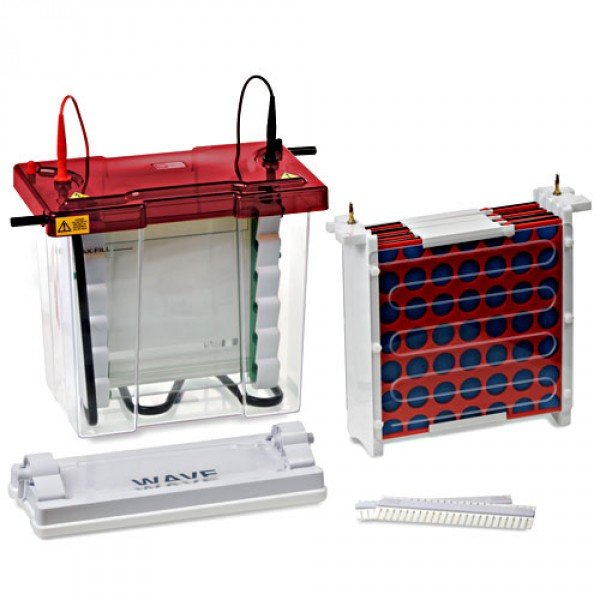 Complete System for Mini Vertical Electrophoresis and blotting ...
