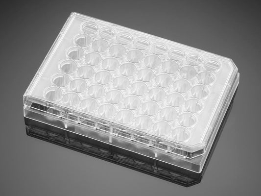 Corning® BioCoat™ Poly-D-Lysine 48 Well Clear Flat Bottom TC-Treated Multiwell Plate, with Lid, Nonsterile, 5/Case