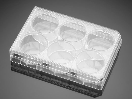 Corning® BioCoat™ Poly-D-Lysine/Laminin 6 Well Clear Flat Bottom TC-Treated Multiwell Plate, with Lid, NS, 5/Pk, 50/Cs