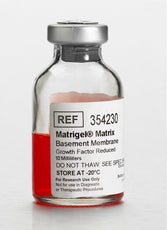 Corning® Matrigel®