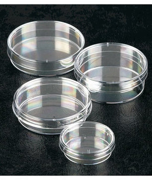 Petri Dishes, Appleton