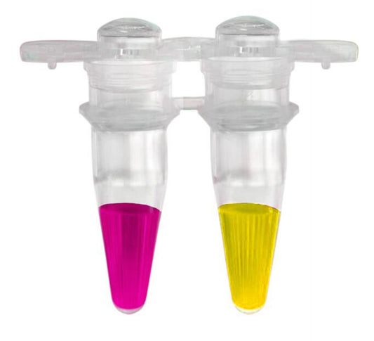 GenieColor Mycoplasma Detection Kit