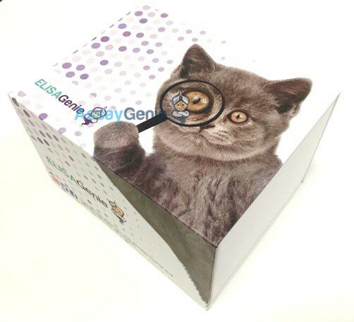 Human Cluster Of Differentiation 3d (CD3d) ELISA Kit