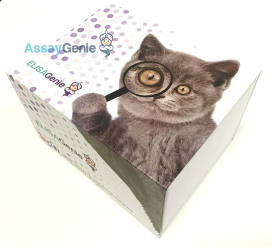 Human Insulin Like Growth Factor 1 Receptor (IGF1R) ELISA Kit