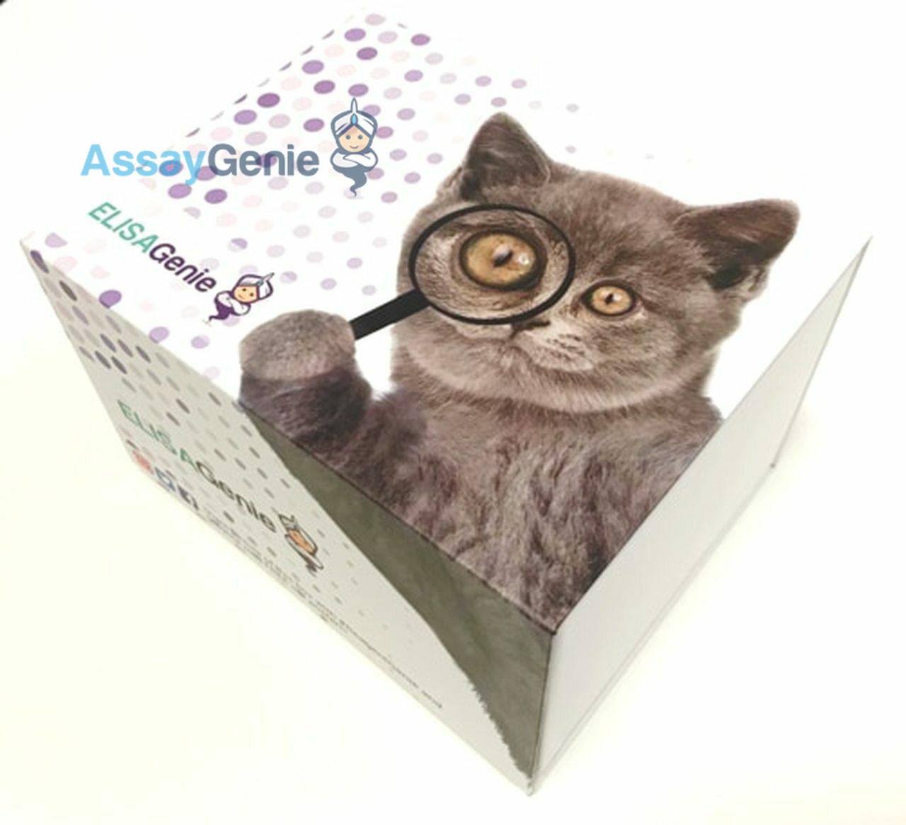 Human Tryptase (TPS) ELISA Kit