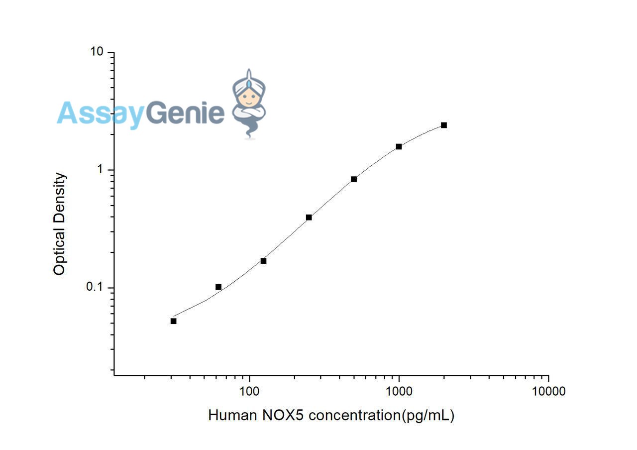 Human NOX5 (Nicotinamide Adenine Dinucleotide Phosphate Oxidase 5) ELISA Kit