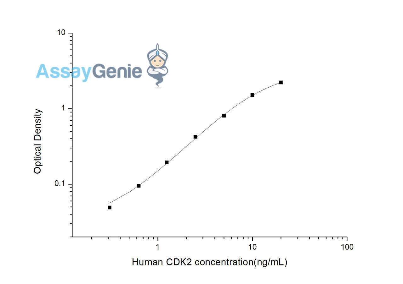 Human CDK2 (Cyclin Dependent Kinase 2) ELISA Kit