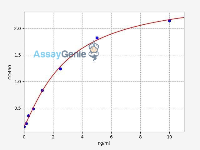 Human CD99/MIC2 ELISA Kit