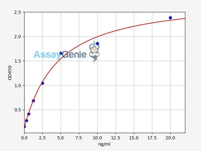 Human DUSP4/MKP2 ELISA Kit