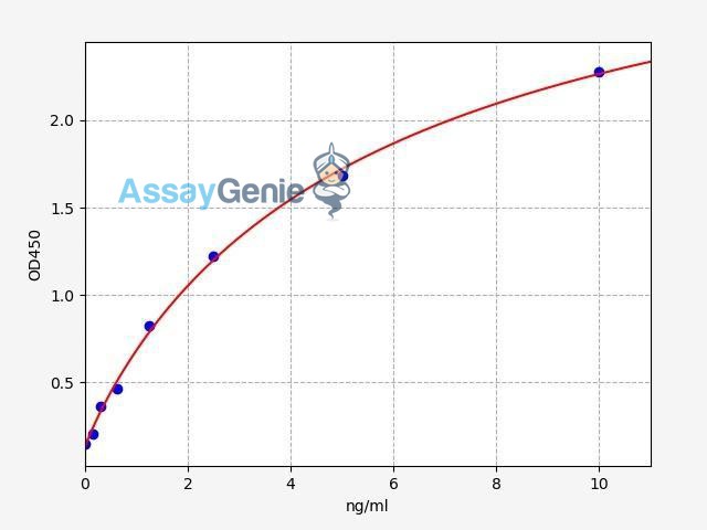 Human XBP1 ELISA Kit