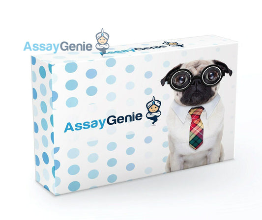 Human Msln (Mesothelin) ELISA Kit