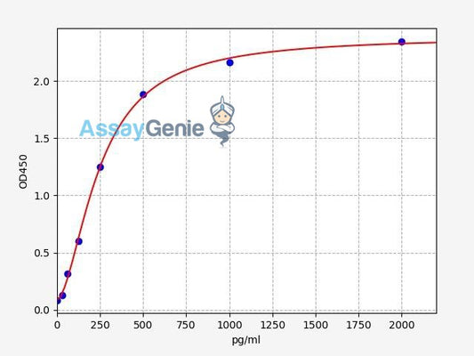 Human CASP6 (Caspase 6) ELISA Kit (HUFI04578)
