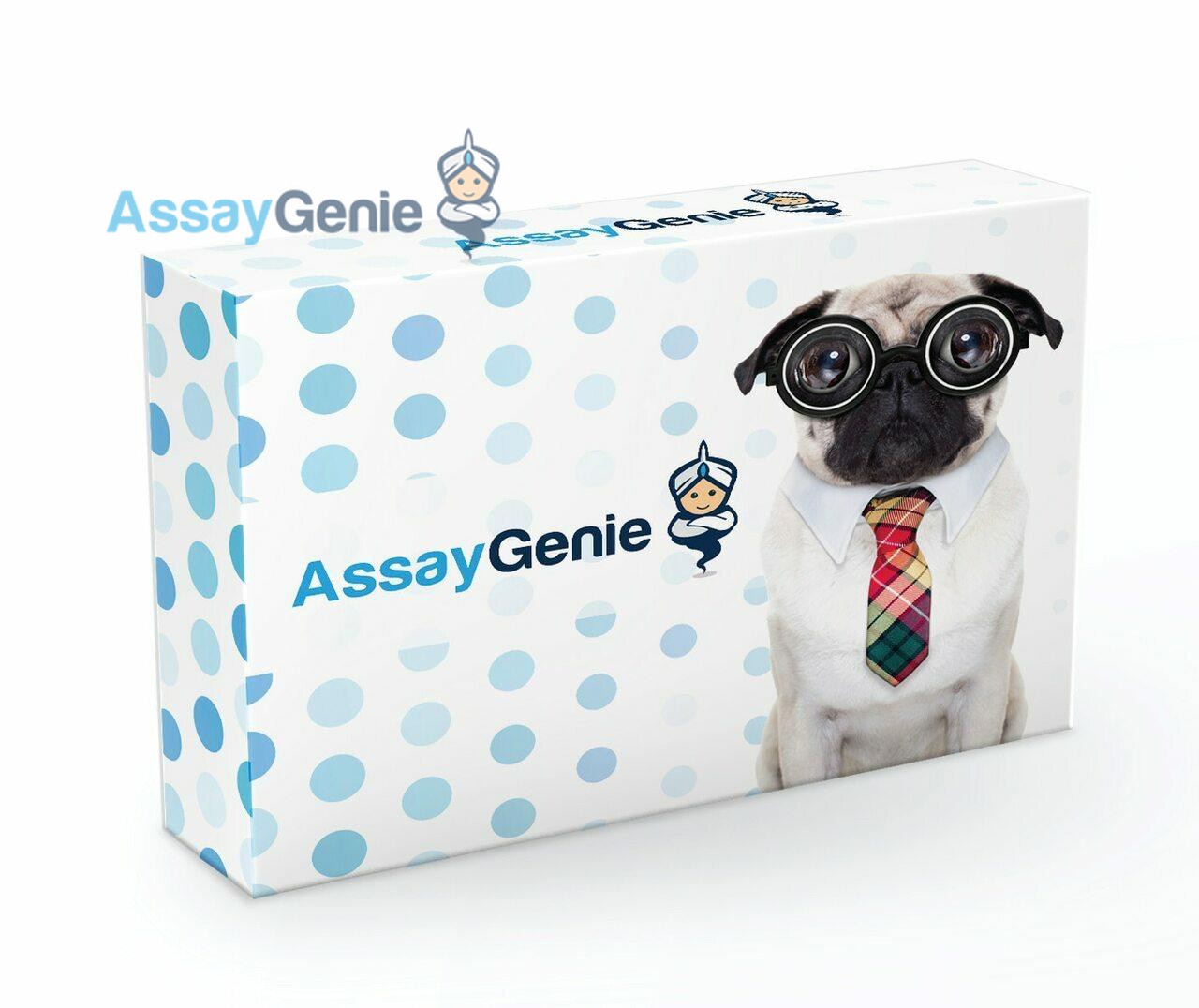 Human CORIN (Atrial natriuretic peptide-converting enzyme) ELISA KIT (HUFI05349)