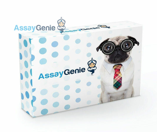 Human CORIN (Atrial natriuretic peptide-converting enzyme) ELISA KIT (HUFI05349)