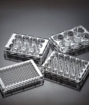 Tissue Culture Treated Plates, Jet Biofil