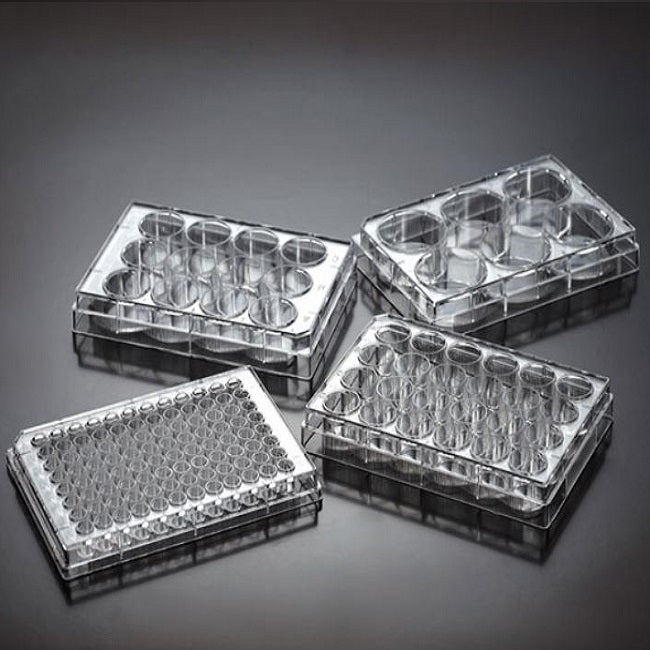 Tissue Culture Treated Plates, Jet Biofil – Appleton Woods | UK Lab ...
