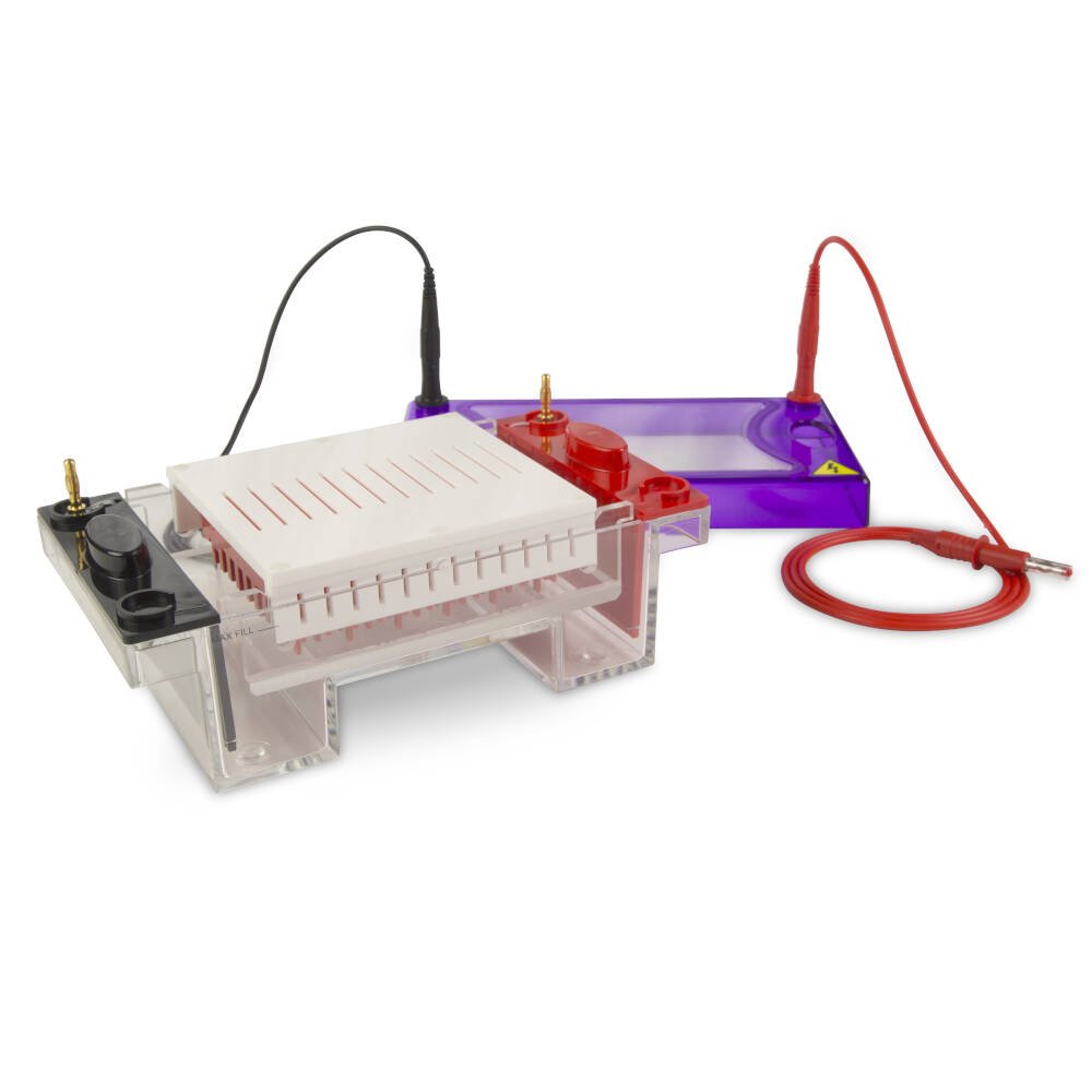 Multi Sub Midi – Appleton Woods | UK Lab Supplies