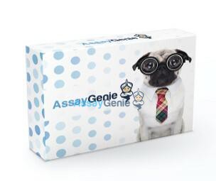 Human CD163 PharmaGenie ELISA Kit (SBRS0364)