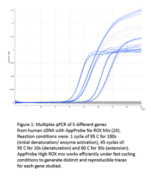 appPROBENo ROX Mix (2X)