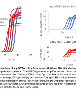 appGREEN 1-Step Extreme High ROX RT-qPCR  Kit