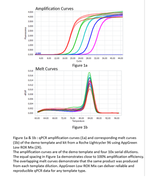 appGREEN Low ROX Mix (2X)