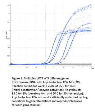 appPROBE Low ROX Mix (2X)