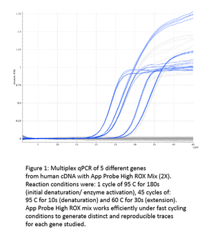 appPROBE High ROX Mix (2X)