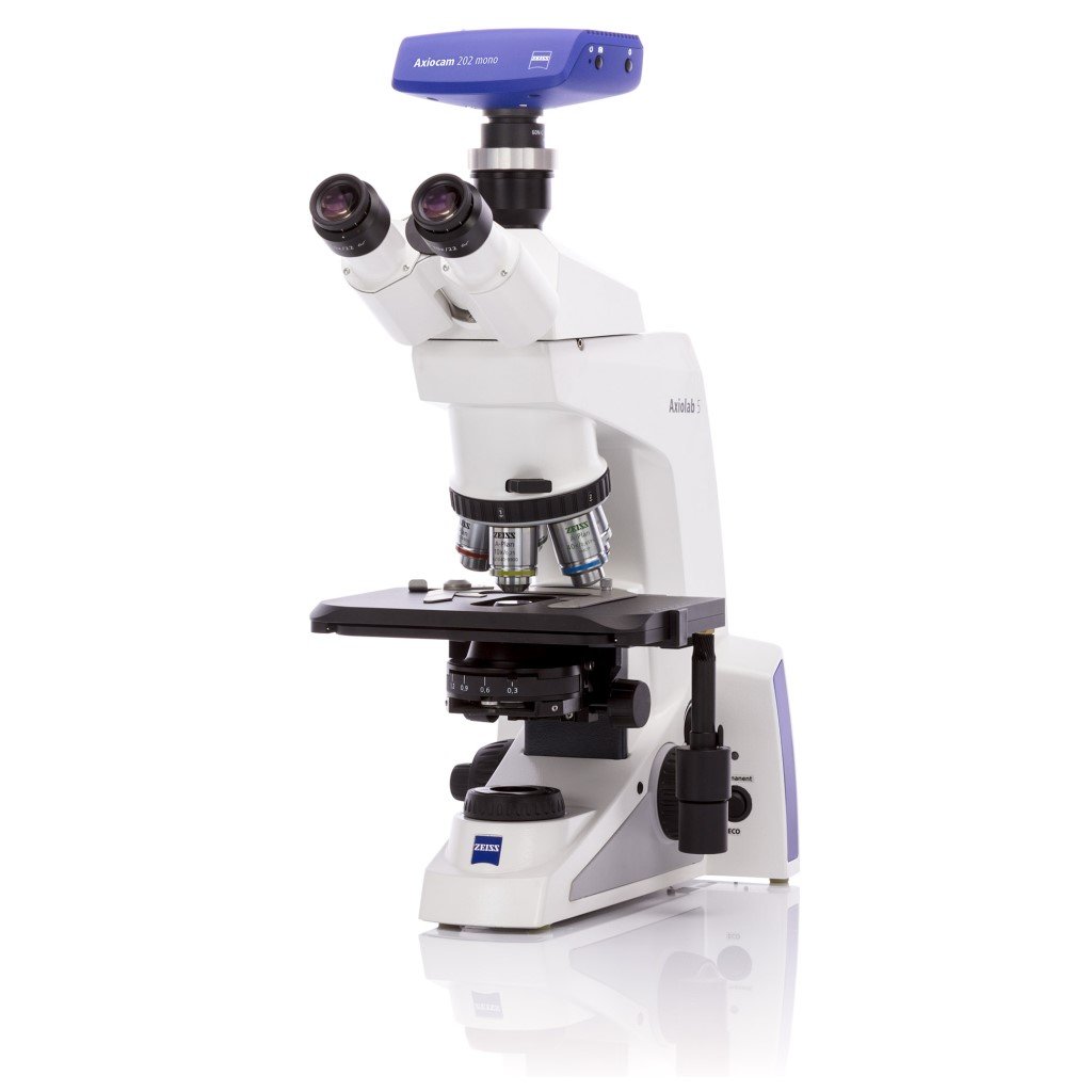 Microscope Axiolab 5 Pol for polarized transmitted light with binocula ...