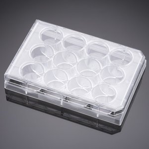 Corning® BioCoat™ Poly-D-Lysine 48 Well Clear Flat Bottom TC-Treated Multiwell Plate, with Lid, Nonsterile, 5/Pack, 50/Case