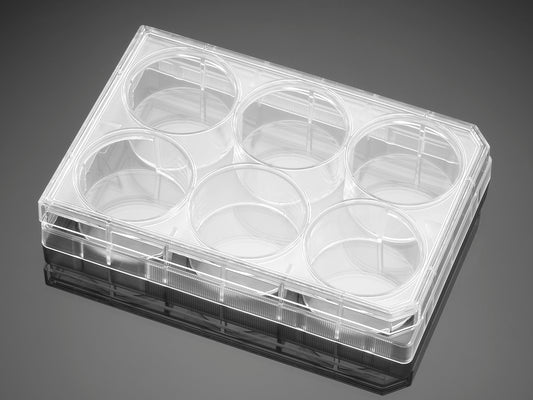 Corning® BioCoat™ Poly-L-Lysine 6 Well Clear Flat Bottom TC-Treated  Multiwell Plate, with Lid, Nonsterile, 5/Pack, 50/Case