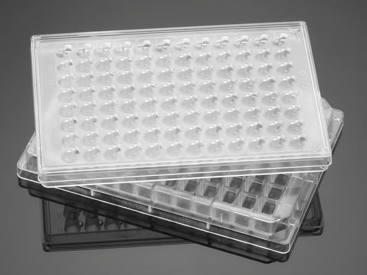 Corning® FluoroBlok™ HTS 96 Well Multiwell Permeable Support System with 8.0µm High Density PET Membrane, S, 5/Pk, 5/Cs