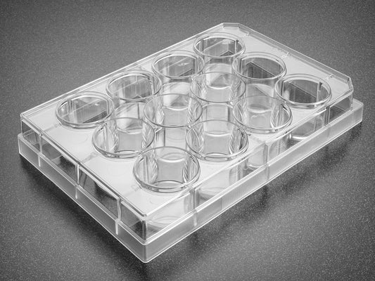 Corning® Primaria™ 6 Well Cell Clear Flat Bottom Surface-Modified  Multiwell Culture Plate, with Lid, Sterile,50/Case