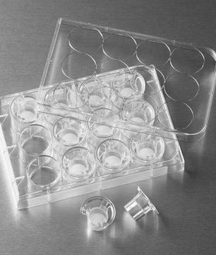 Transwell Permeable Supports, Polycarbonate, Corning