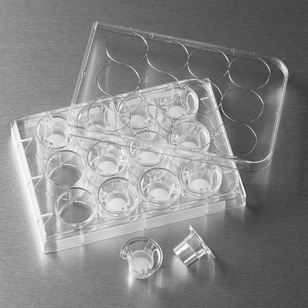 Transwell Permeable Supports, Clear Polyester, Corning – Appleton Woods ...