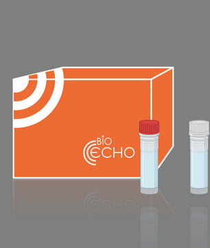 gDNA Removal Mix, Bioecho
