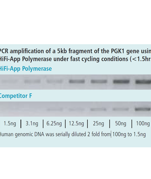 appHiFi Polymerase