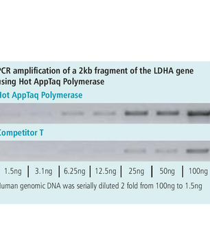 appTAQ Hot Start Polymerase